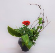 草月流いけばな　夜クラス